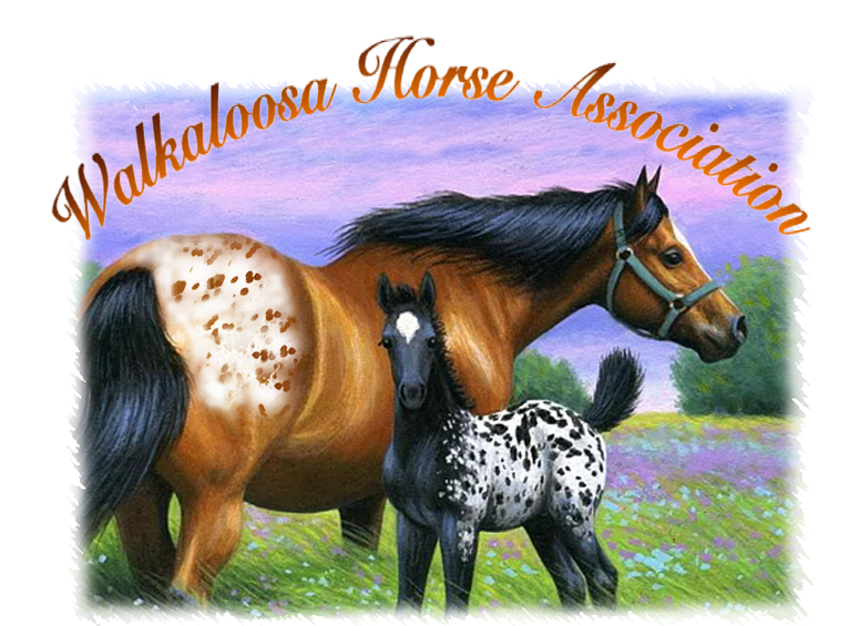 Walkaloosa Horse Association Illustration